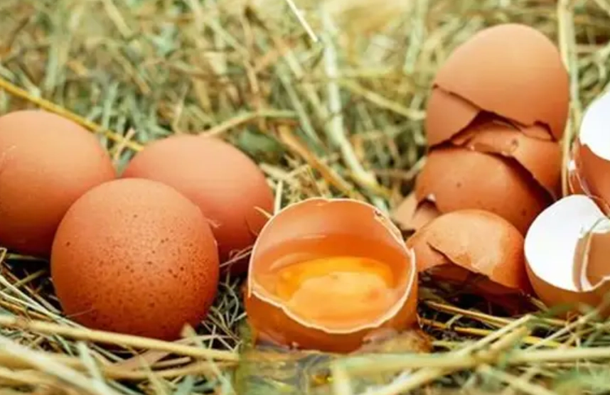 低磷雞蛋