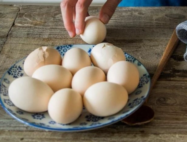 腎臟病蛋白質控制