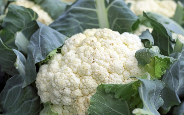 白花椰菜雞湯 做法 電鍋