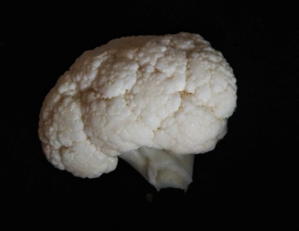 綠花椰菜白花椰菜營養