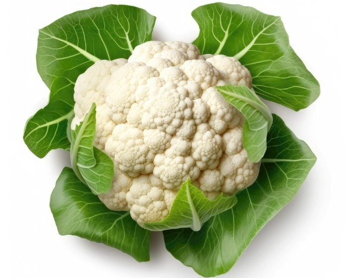 高蛋白減脂食譜