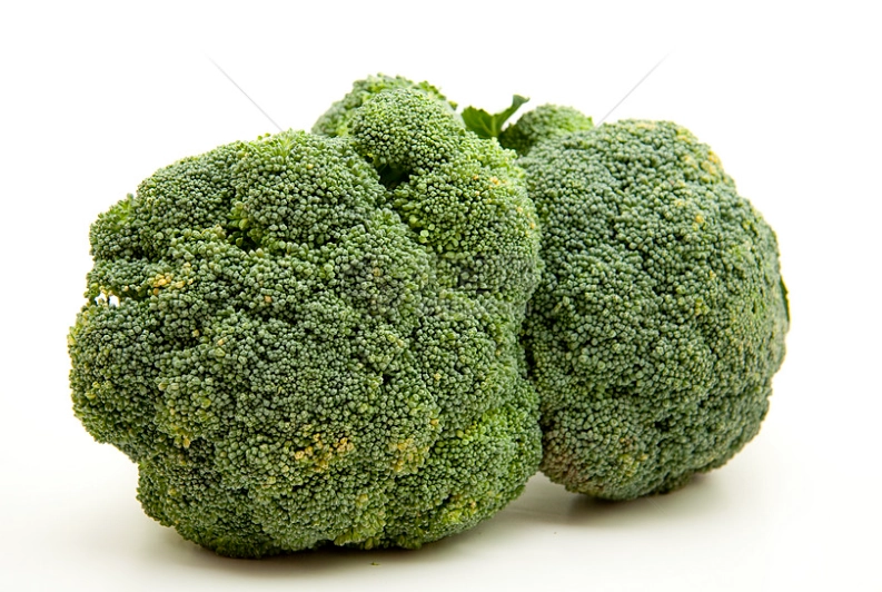 素食蛋白質來源