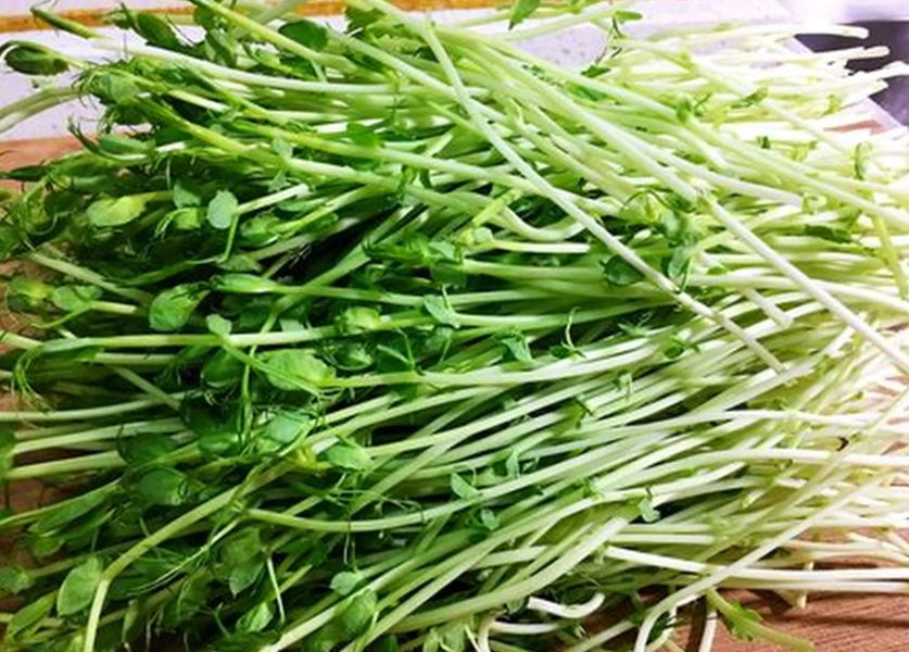 豌豆芽營養