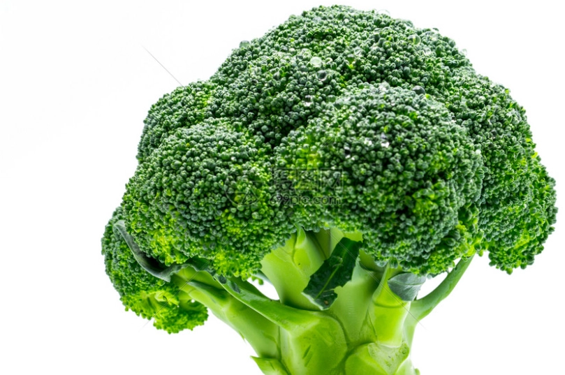 綠花椰菜蛋白質功效