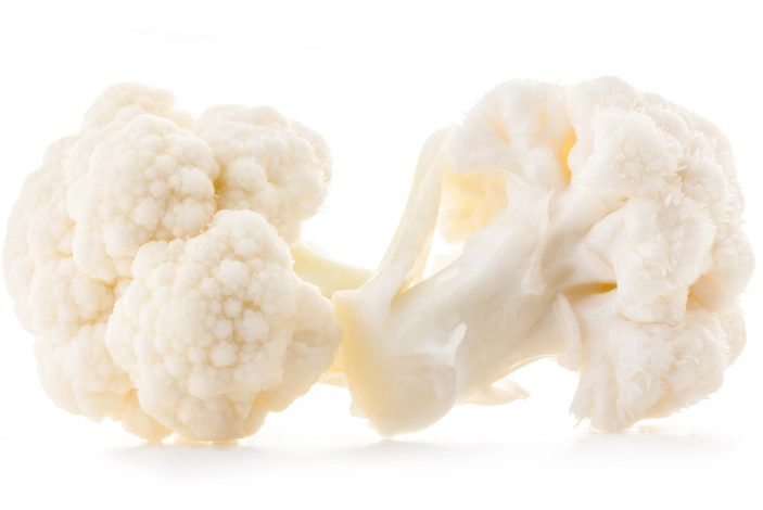 植物性蛋白質來源