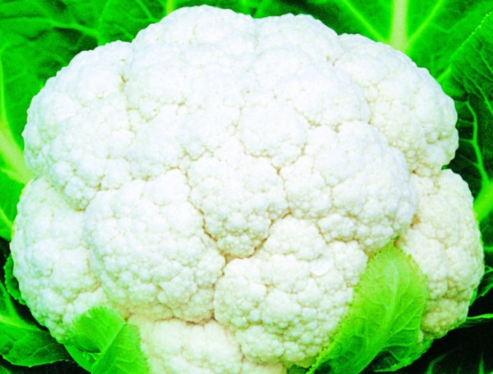 白花椰菜濃湯食譜