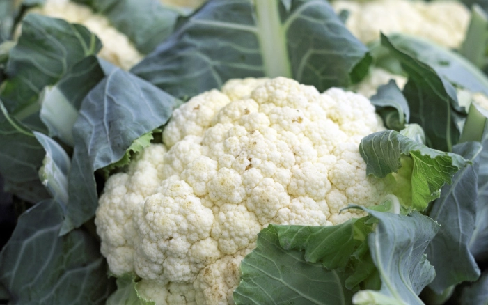 白花椰菜番茄湯 食譜