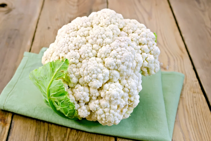 植物性蛋白質來源