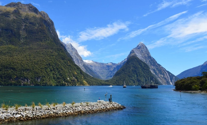 紐西蘭入境藥品申報