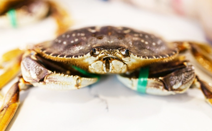 吃螃蟹可以喝酒嗎