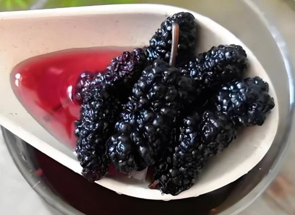 桑葚煮水功效 桑葚煮水功效