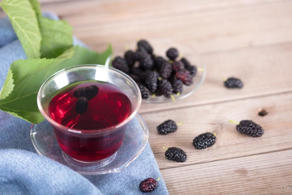 桑葚焗水做法 桑葚焗水做法