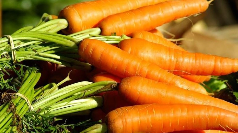 紅蘿蔔安全攝取量 紅蘿蔔安全攝取量