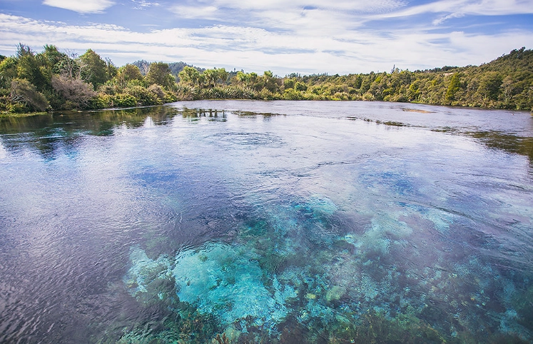 凱庫拉旅遊攻略 凱庫拉旅遊攻略