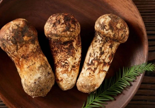 基松茸 功效 基松茸 功效