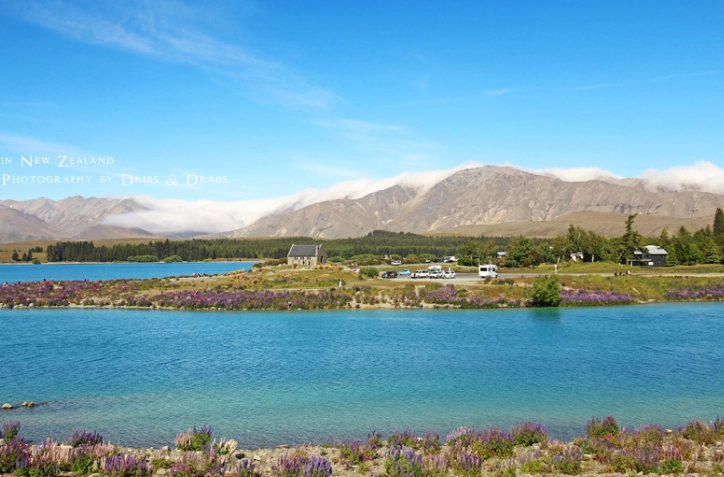 紐西蘭海關規定 紐西蘭海關規定