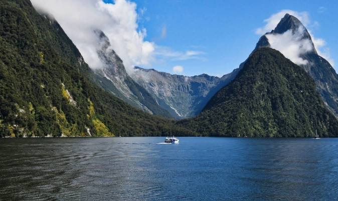 紐西蘭入境申報 紐西蘭入境申報