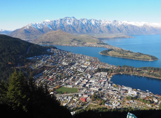 紐西蘭藥品入境規定