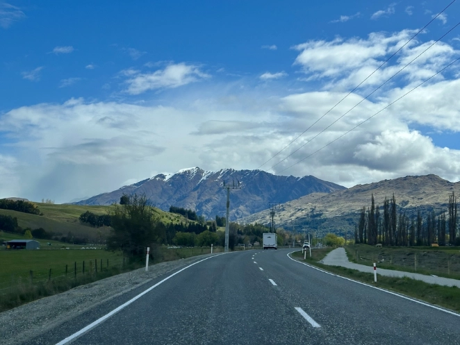 紐西蘭駕照翻譯