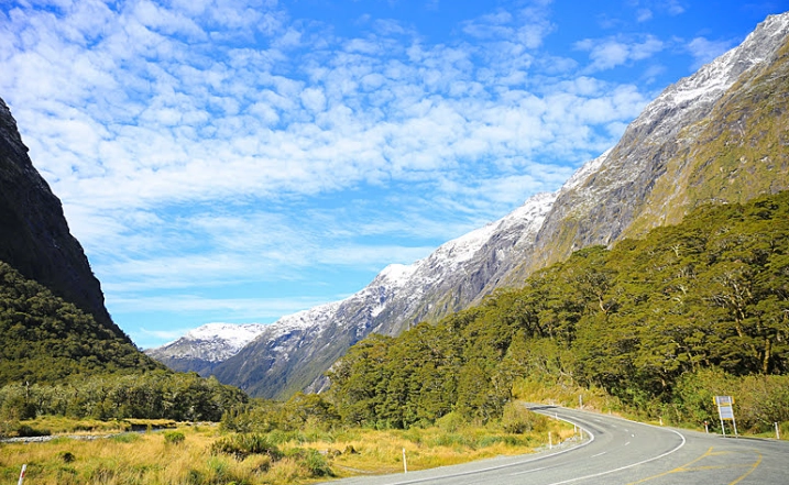 紐西蘭藥品入境規定