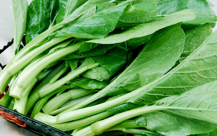 菜心苗菜心比較