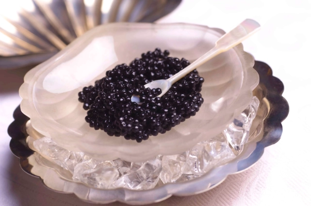 魚子醬魚種 魚子醬魚種