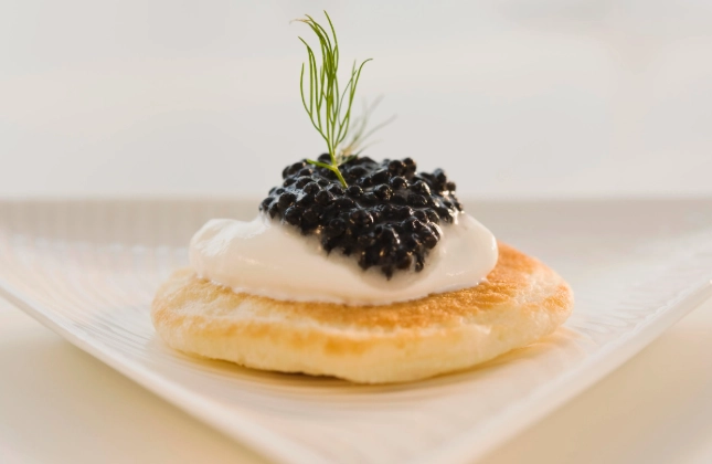 鱘龍魚養殖 鱘龍魚養殖