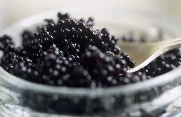 魚子醬魚種 魚子醬魚種