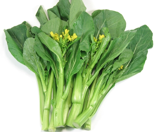 菜心苗與菜心差異