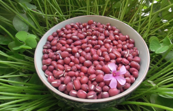 赤紅豆食用方法