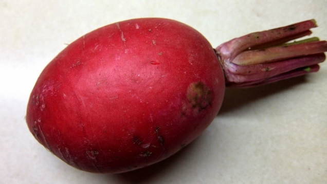 裂開紅蘿蔔安全嗎 裂開紅蘿蔔安全嗎