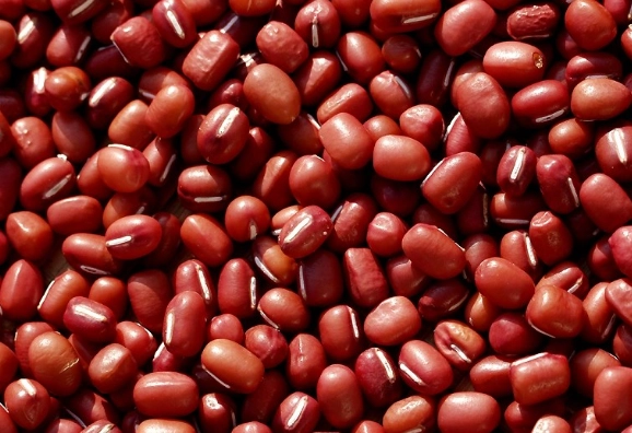 赤紅豆食用方法