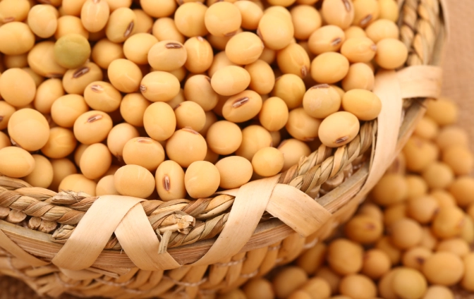 黃豆煮熟打豆漿