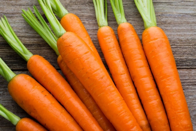 紅皮蘿蔔營養 紅皮蘿蔔營養