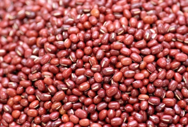 紅豆麩質 紅豆麩質