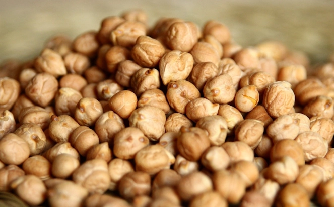 鷹嘴豆澱粉 鷹嘴豆澱粉