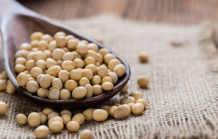 泡黃豆注意事項 泡黃豆注意事項