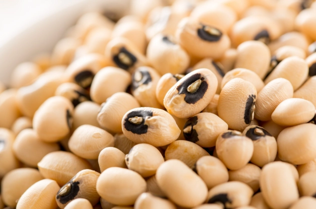 米豆 黃豆 區別