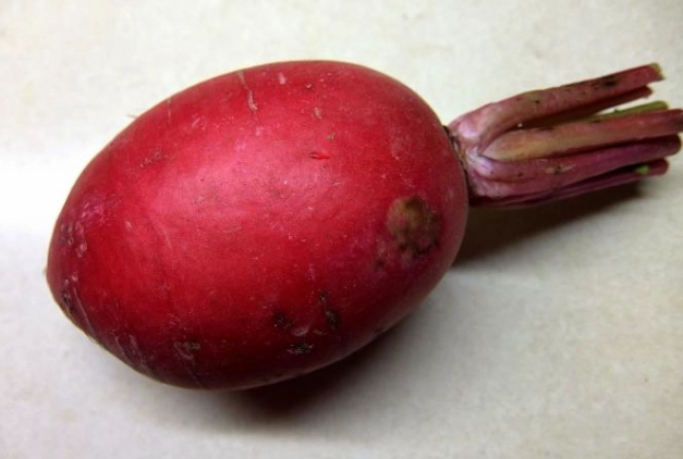 紅皮蘿蔔料理 紅皮蘿蔔料理
