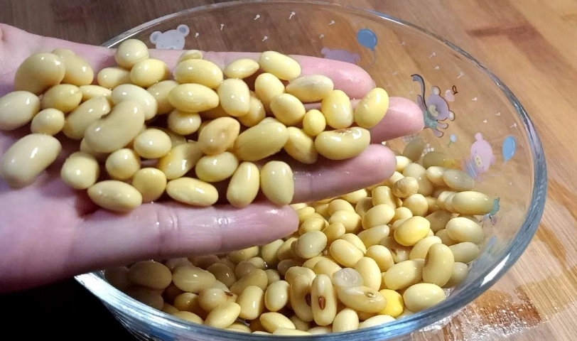 快速泡黃豆方法