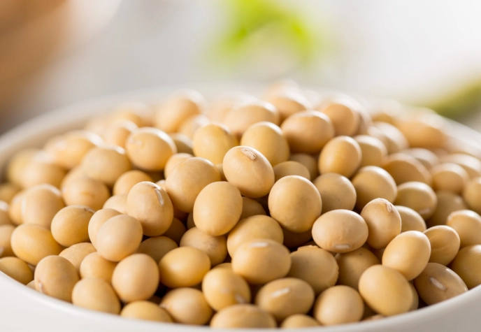 黃豆浸泡時間 黃豆浸泡時間