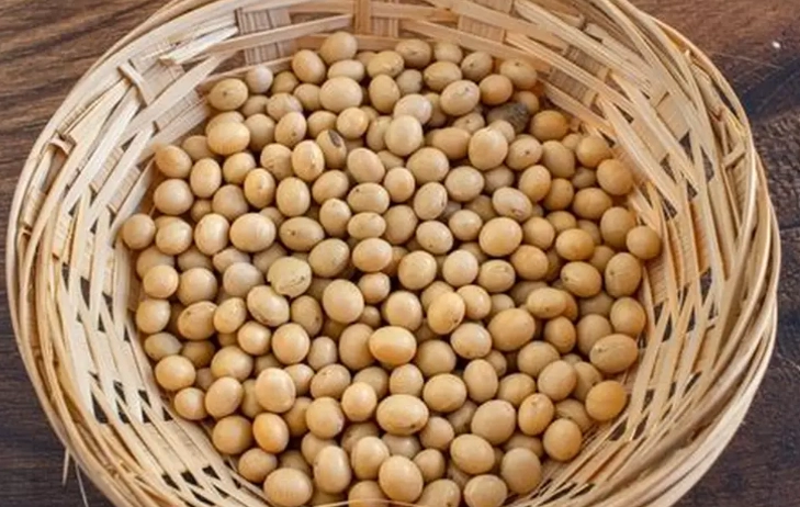 黃豆浸泡時間 黃豆浸泡時間