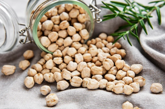 鷹嘴豆蛋白質 鷹嘴豆蛋白質