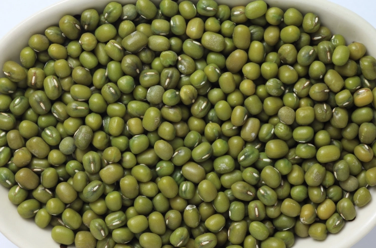 綠豆營養成分