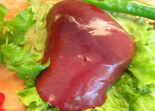 狗飲食禁忌 狗飲食禁忌