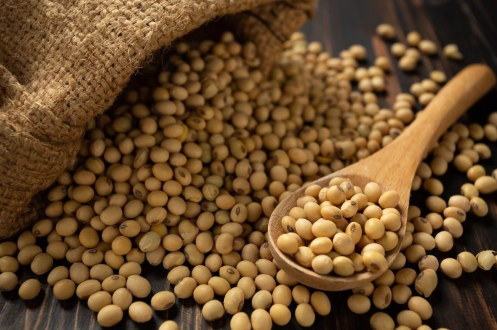黃豆營養價值