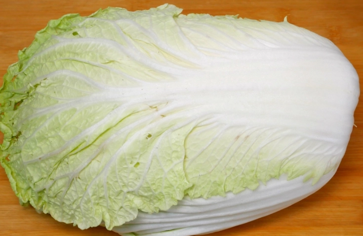 脹氣食物 脹氣食物