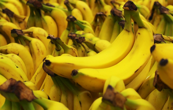 腎臟病 香蕉 腎臟病 香蕉