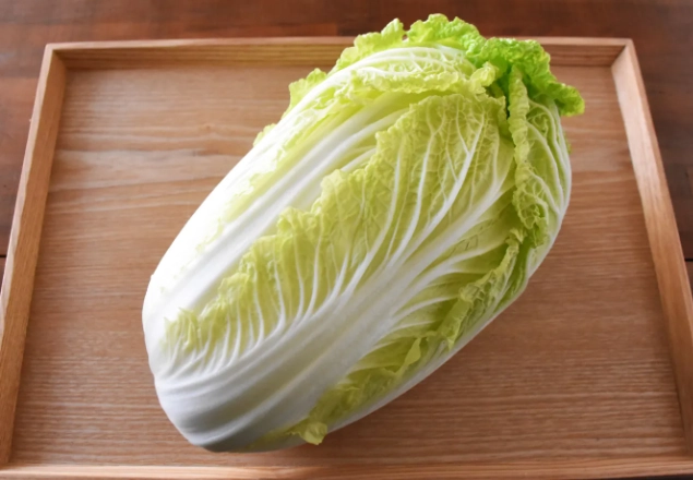 脹氣食物 脹氣食物