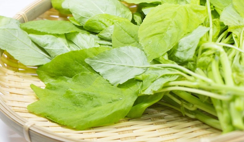 紅莧菜料理 紅莧菜料理